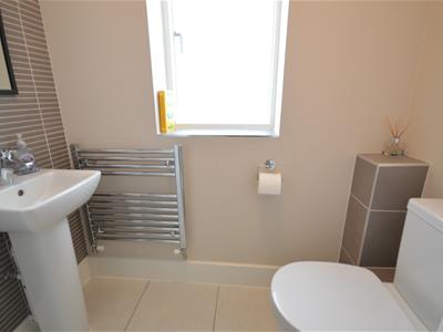 Picture 21